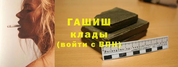 СК Алексин