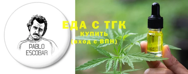 СК Алексин